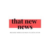 That New News logo - Similar company to Flevor