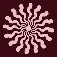 Siesta Design logo - Similar company to Siesta