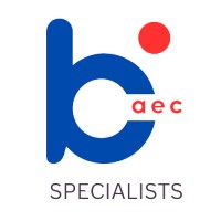 BAEC Specialists logo - Similar company to Total Softtech