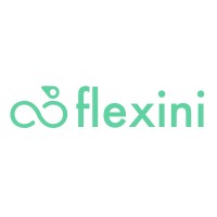 flexini logo - Similar company to Erlkoenig
