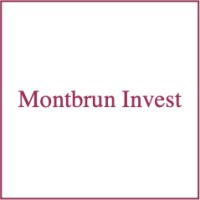 Montbrun Invest logo - Similar company to Ginkimo