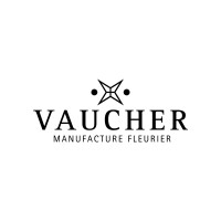 VAUCHER MANUFACTURE FLEURIER AG logo - Similar company to Rouages Sa