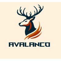 AVALANCO GROUP OF COMPANIES logo - Similar company to Kajo Group
