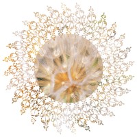 Epiphany coaching logo - Similar company to Epiphany Coaching Ltd
