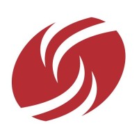 Dress for Success New Orleans logo - Similar company to Silver Lining Marketing
