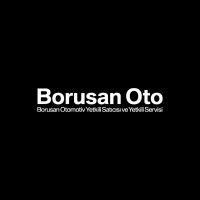 Borusan Oto logo - Similar company to Boost Coffee Company
