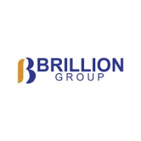 Brillion Group logo - Similar company to Techjoy