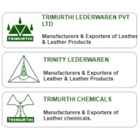 Trimurthi Lederwaren Private Limited logo - Similar company to Invaeyn