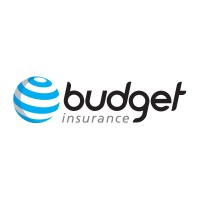Budget Insurance South Africa logo - Similar company to F&I Insurance