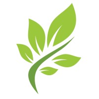 13roots logo - Similar company to Cargodoc