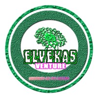 Elvekas Venture logo - Similar company to Hemify