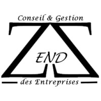 Zen DZ Solutions logo - Similar company to Automove