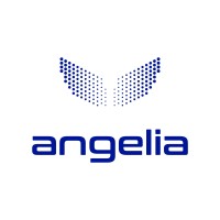 Angelia.one logo - Similar company to Lafya