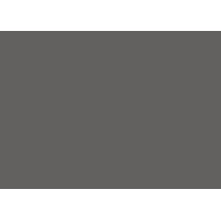 Skandia Investment Group