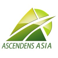 Ascendens Asia Group logo - Similar company to Higgins Tonna & Co