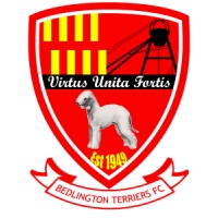 Bedlington Terriers Fc