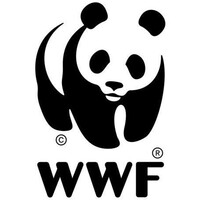 WWF-Türkiye logo - Similar company to Reflect Studio