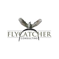Flycatcher Consulting logo - Similar company to Flycatcher Llc