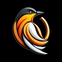 Oriole Info Solutions logo - Similar company to Vybtek It Solution