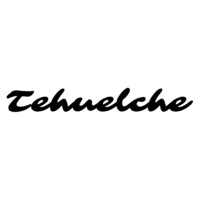 Tehuelche logo - Similar company to Davinci