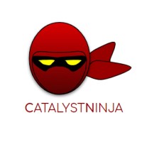 CatalystNinja logo - Similar company to Iec Partners