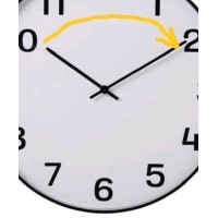 Maxim Holding