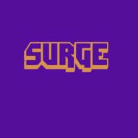 Surge - Save & Invest In Crypto logo - Similar company to Data Edge Professional Llc