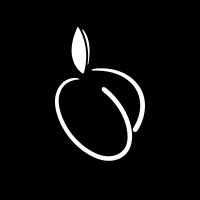 PeachesPk logo - Similar company to Mohtaram