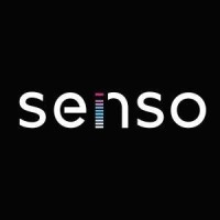 Senso Systems logo - Similar company to Multivitamin Studio