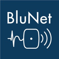 BluNet logo - Similar company to Blunet It