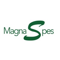 Magnaspes logo - Similar company to Roswealth Organization