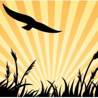 City of Eden Prairie logo - Similar company to City Of Bloomington, Mn