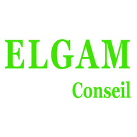 ELGAM Conseil logo - Similar company to Capall