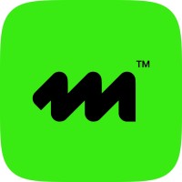 Mint logo - Similar company to Develo Systems