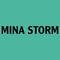 Mina Storm logo - Similar company to Into The Mood