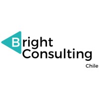 Bright Consulting Chile SPA logo - Similar company to Ducklify Business