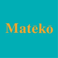 Mateko Resortwear logo - Similar company to Ct20
