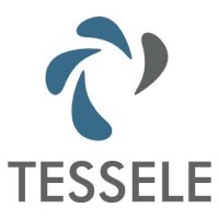Tessele Consultants logo - Similar company to Decarbonate