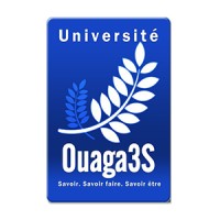 Université Ouaga-3S logo - Similar company to Groengekleurd