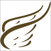 Saarthi Airways Private Limited logo - Similar company to Jet9