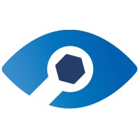 ServiceSight logo - Similar company to Protean Software Ltd