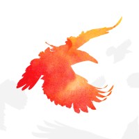 Raven Sun Creative logo - Similar company to Nextrns