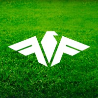 FanFight logo - Similar company to Skill Fantasy