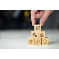 Success Synergy Network logo - Similar company to Data Pulse Collective