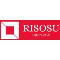 Risosu Technology logo - Similar company to Digital Solutions