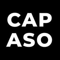 Capaso logo - Similar company to Wizerise