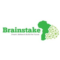 BrainStake Smart Systems Zambia logo - Similar company to Brainstake Smart Systems