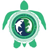 Consultoria Ambiental y Desarrollo Sustentable logo - Similar company to Geocyl Environmental And Territorial Consultancy