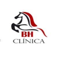 BH CLINICA DE EQUINOS logo - Similar company to Equinos