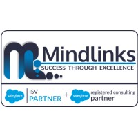 Mindlinks Inc logo - Similar company to Mindlinks (Capacity Building Center)